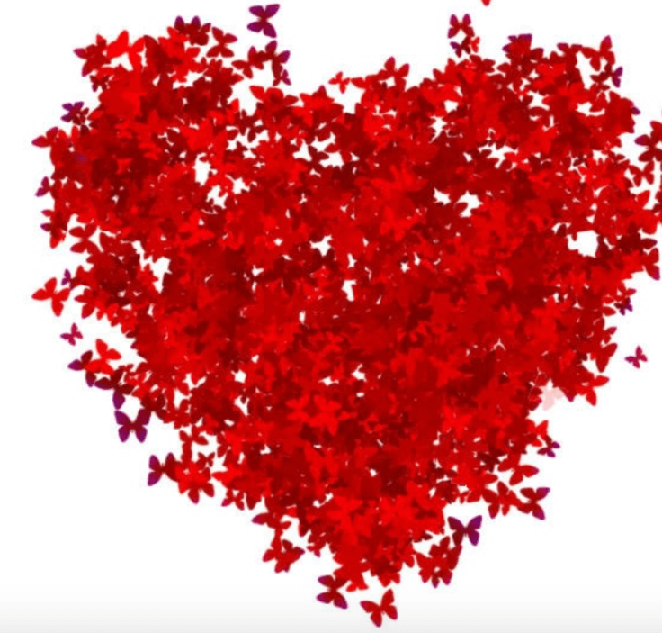 Screen Shot 2015-11-17 at 11.21.59 AM