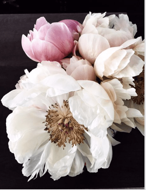 Screen Shot 2016-02-15 at 6.48.56 PM