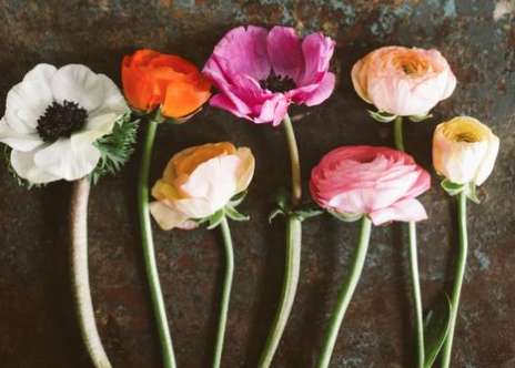 Screen Shot 2016-02-16 at 10.48.09 PM