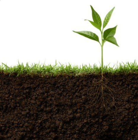 Screen Shot 2016-02-17 at 9.52.50 PM