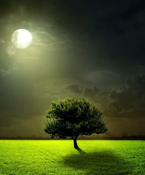 Screen Shot 2014-11-29 at 10.31.57 PM.png