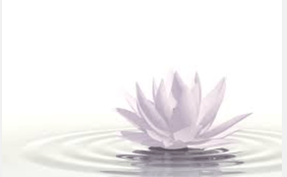 Screen Shot 2016-02-24 at 12.47.21 PM