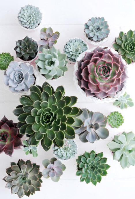 Screen Shot 2016-02-24 at 12.55.27 PM.png