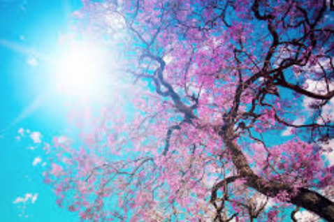 Screen Shot 2016-03-03 at 9.02.55 AM