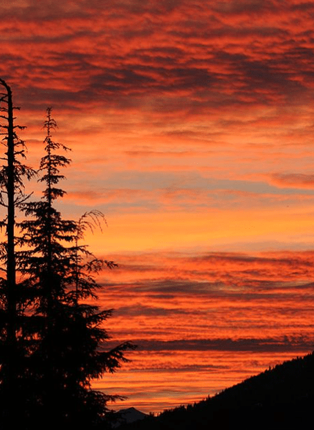 Screen Shot 2016-03-08 at 12.01.02 PM