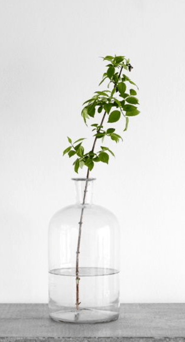 Screen Shot 2016-03-08 at 12.12.39 PM