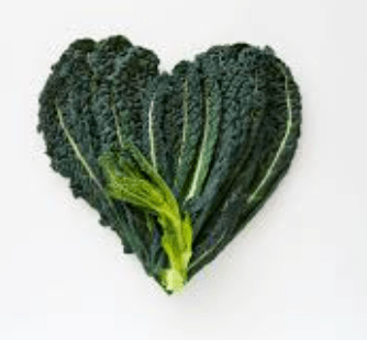 Screen Shot 2016-03-11 at 8.48.07 AM