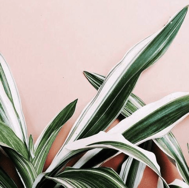 Screen Shot 2016-03-17 at 3.33.54 PM.png