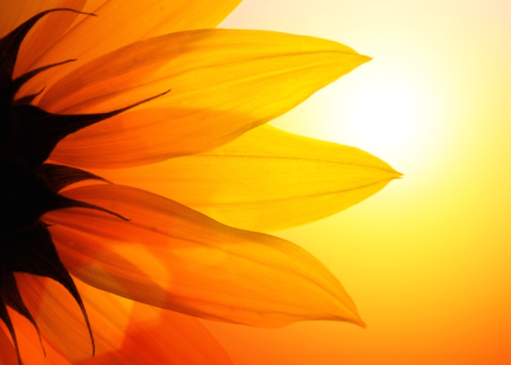 Screen Shot 2016-03-18 at 5.01.37 PM