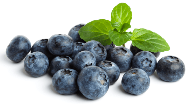 Screen Shot 2016-03-18 at 9.54.08 AM.png