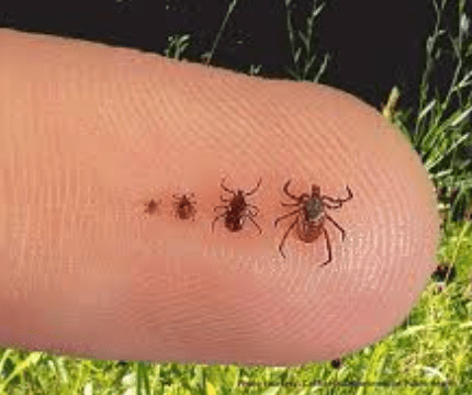 Screen Shot 2016-04-08 at 8.34.17 AM