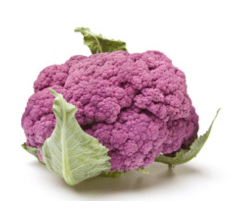 Screen Shot 2016-04-12 at 3.17.31 PM