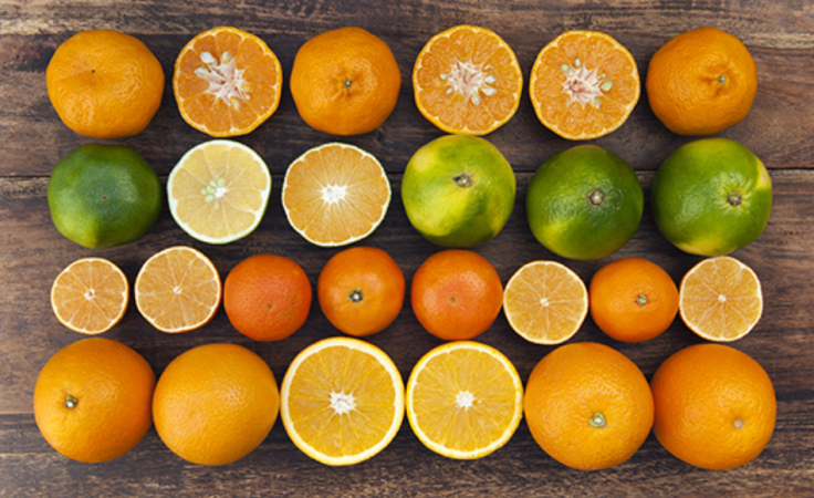 Screen Shot 2016-05-11 at 2.20.52 PM