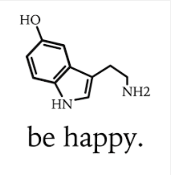 Screen Shot 2016-05-23 at 10.08.22 AM