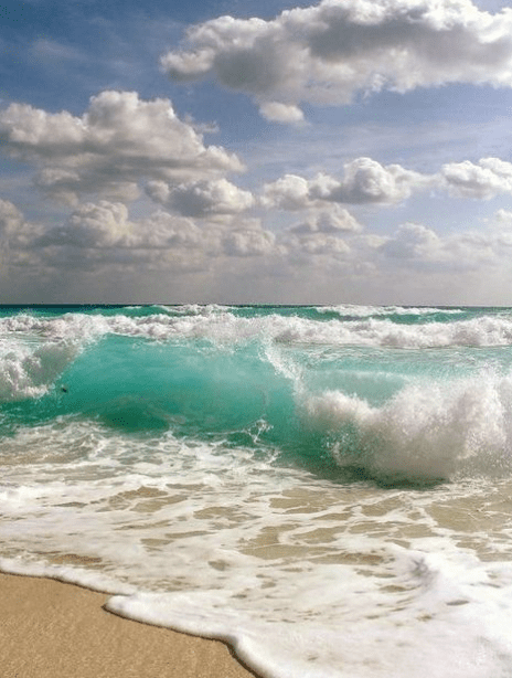 Screen Shot 2016-05-25 at 12.35.30 PM