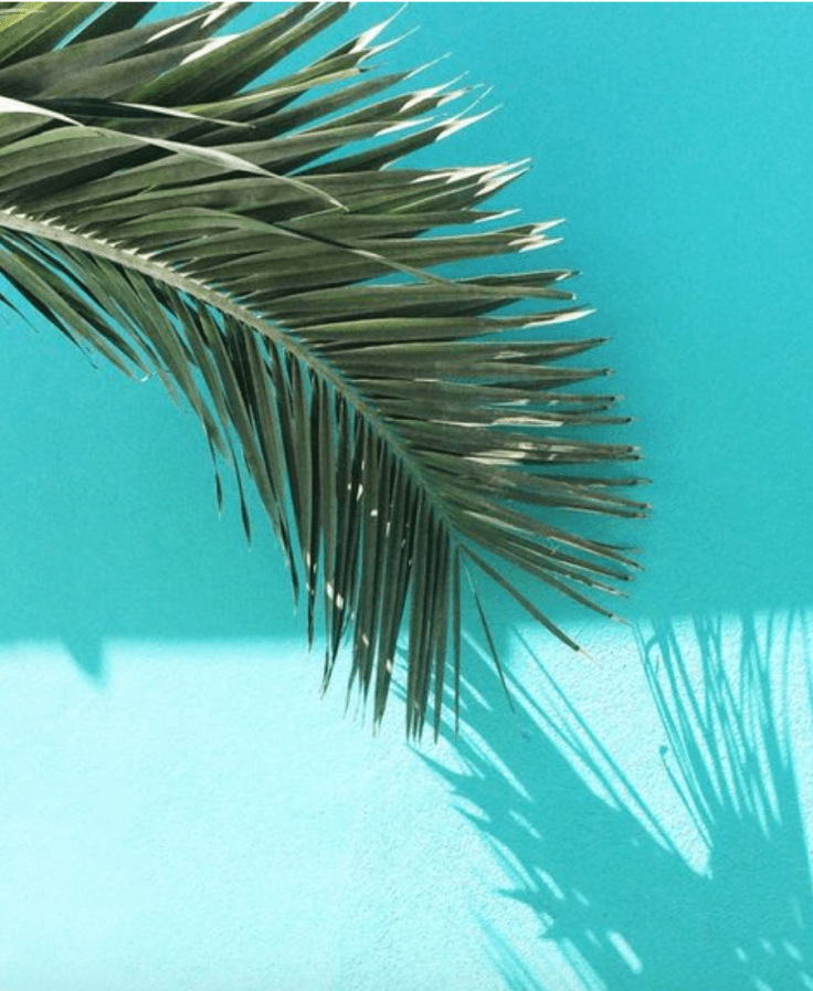 Screen Shot 2016-06-01 at 10.31.04 PM