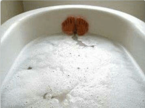 Screen Shot 2016-06-01 at 8.11.42 AM