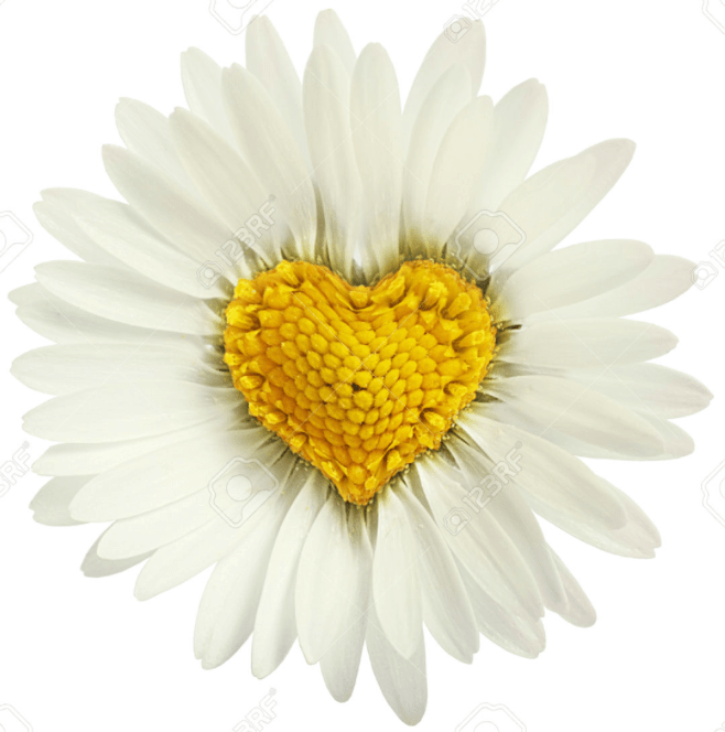 Screen Shot 2016-06-24 at 9.44.35 AM