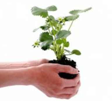 Screen Shot 2016-07-06 at 5.09.46 PM