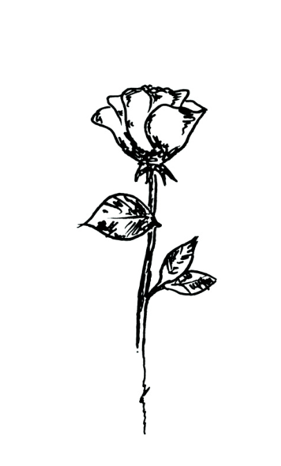 screen-shot-2016-09-30-at-8-02-21-am