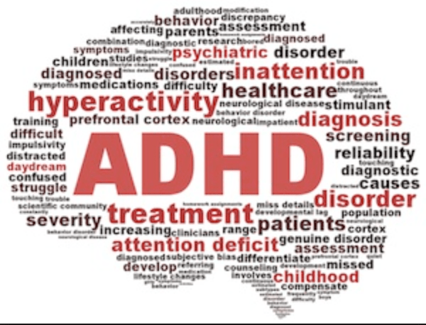 Screen Shot 2017-04-05 at 8.09.22 AM