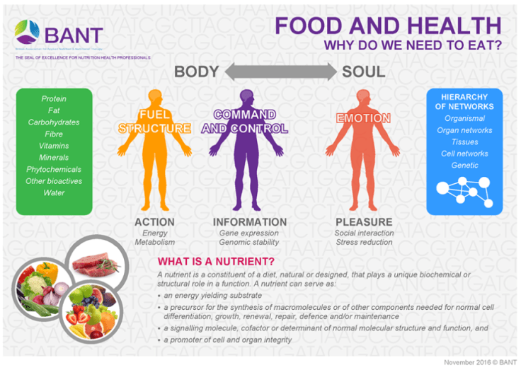 Screen Shot 2017-04-12 at 5.26.37 PM