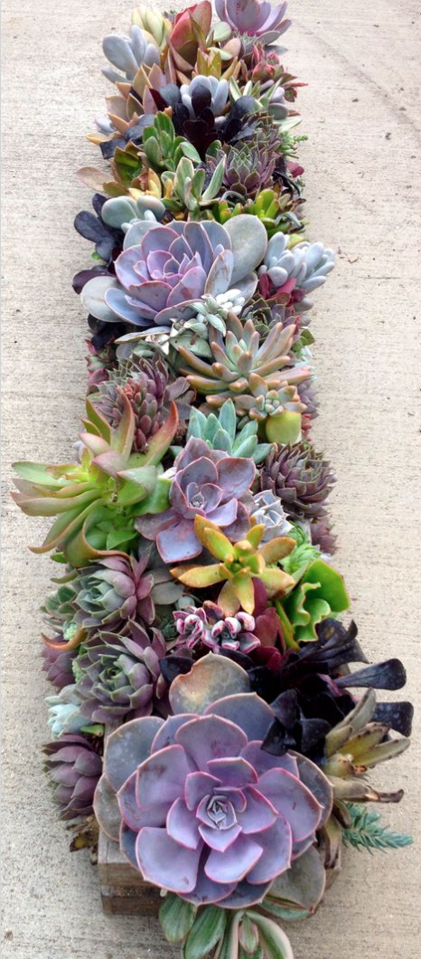 Screen Shot 2016-02-16 at 11.20.56 PM