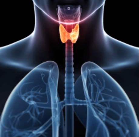 Screen Shot 2017-08-17 at 12.48.12 PM.png