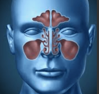 Screen Shot 2018-12-05 at 4.37.56 PM